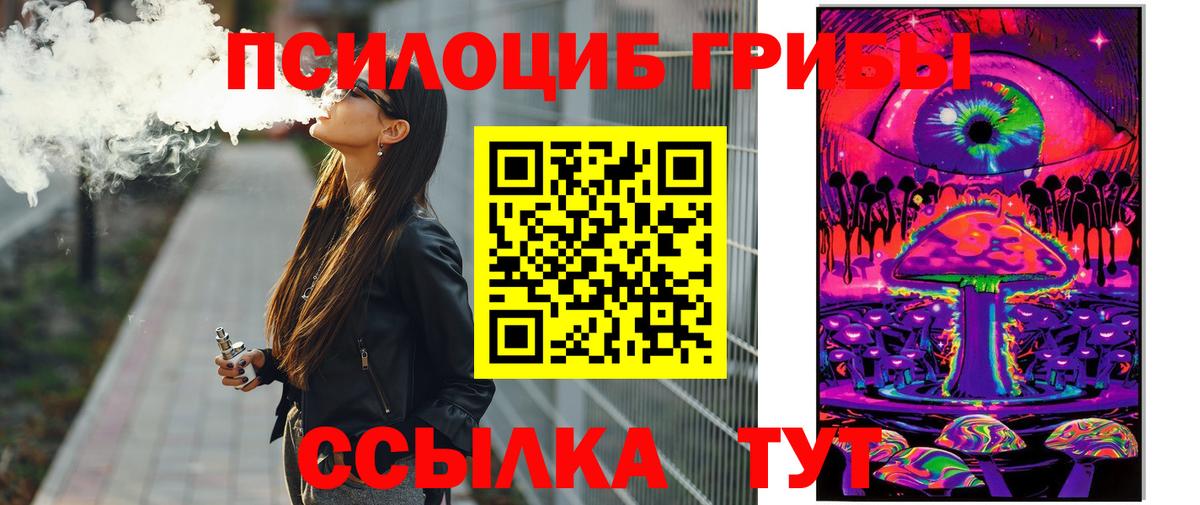 Сальск  где можно купить   Галлюциногенные грибы GOLDEN TEACHER  Вход с VPN  Галлюциногенные грибы мицелий 
