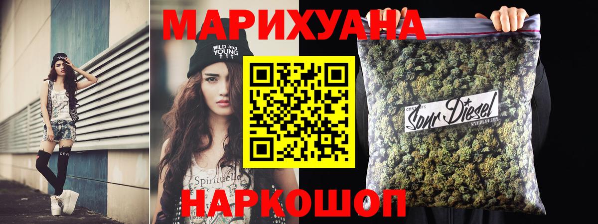 Бошки Шишки план Сальск